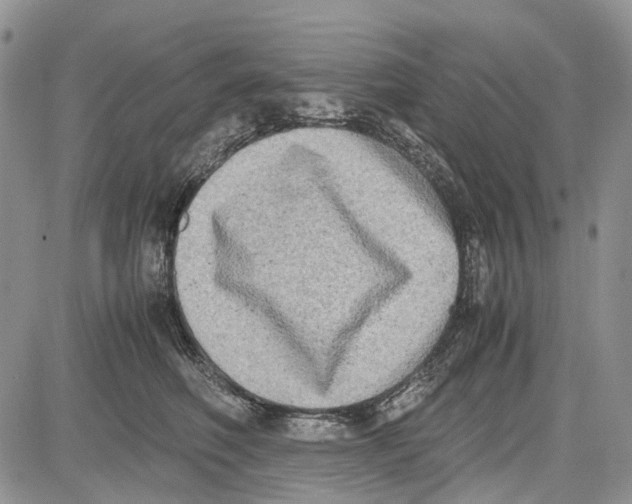 X0000081570614200702051216