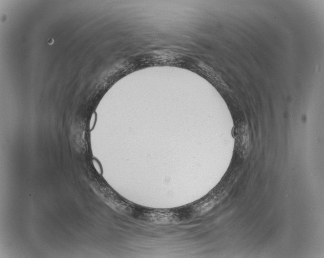 X0000081570615200702051216