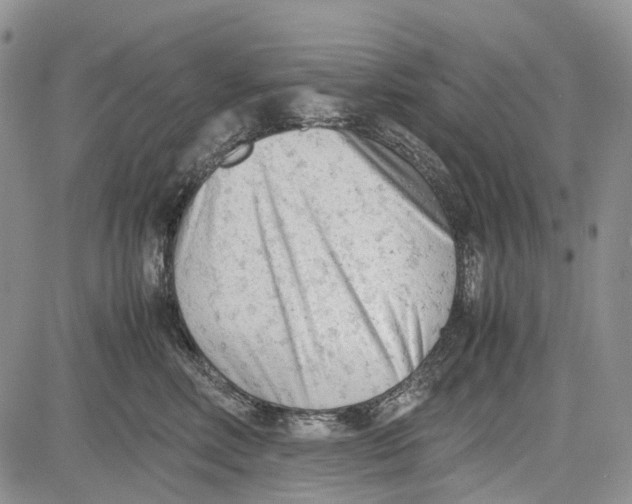 X0000081570618200702051216