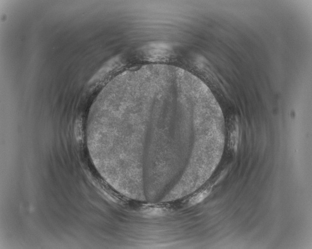 X0000081570620200702051216