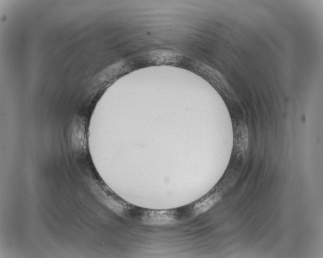 X0000081570622200702051216