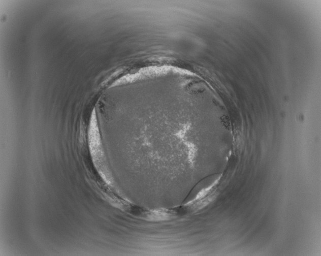 X0000081570623200702051216