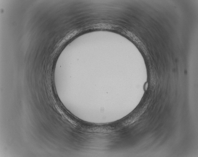 X0000081570625200702051215