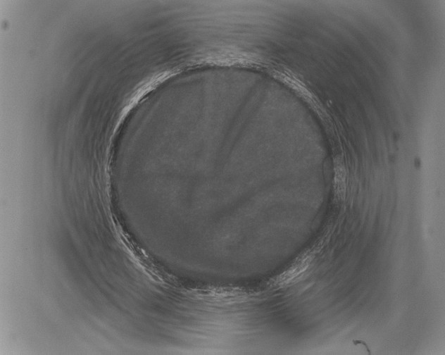 X0000081570626200702051215