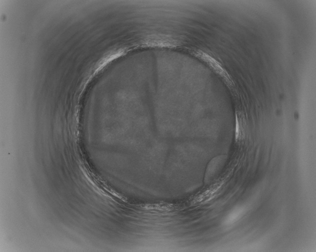 X0000081570627200702051215