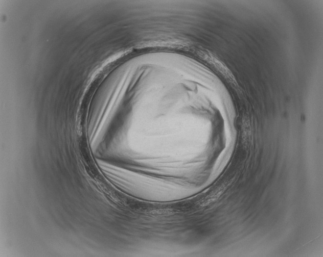 X0000081570628200702051215