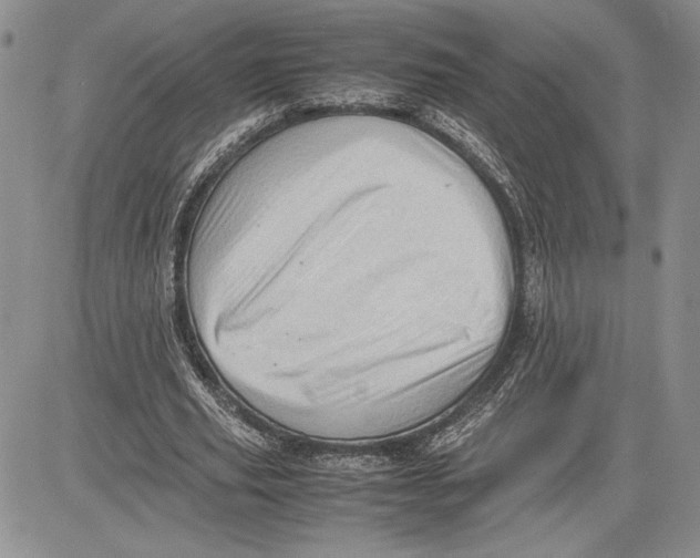 X0000081570629200702051215