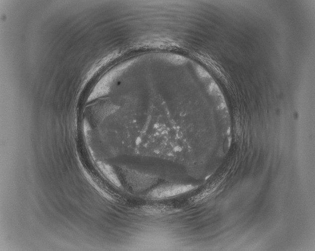 X0000081570630200702051215