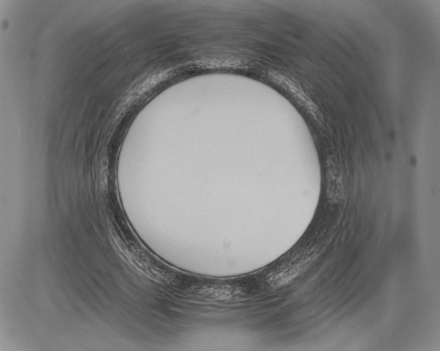 X0000081570631200702051215