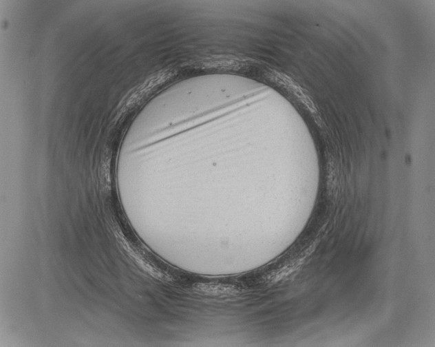 X0000081570633200702051215