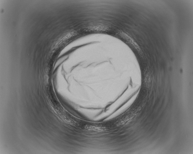 X0000081570635200702051215