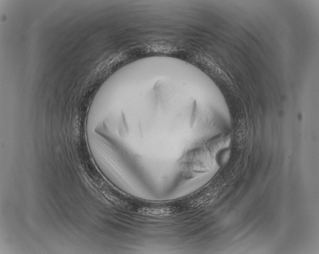 X0000081570639200702051215