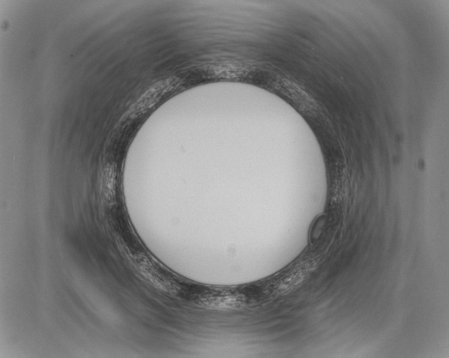 X0000081570646200702051215