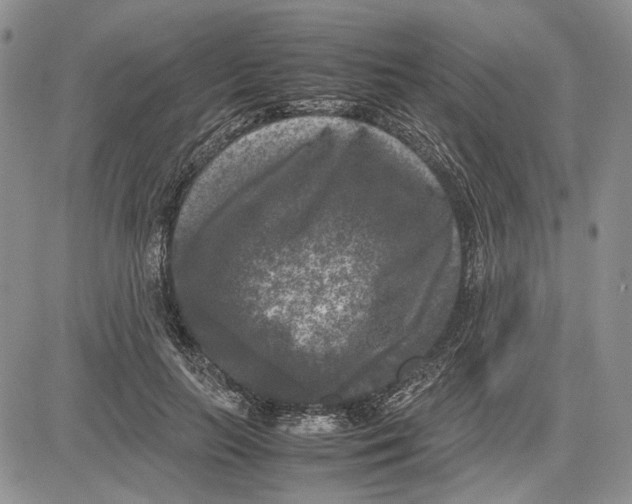 X0000081570647200702051215