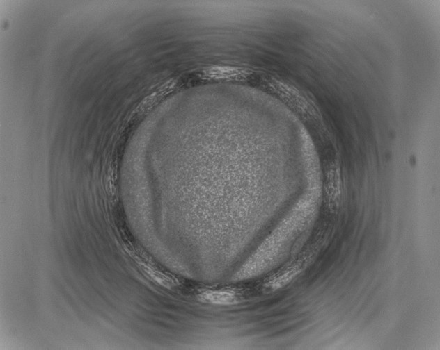 X0000081570653200702051215