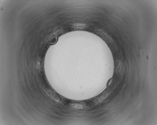 X0000081570655200702051215