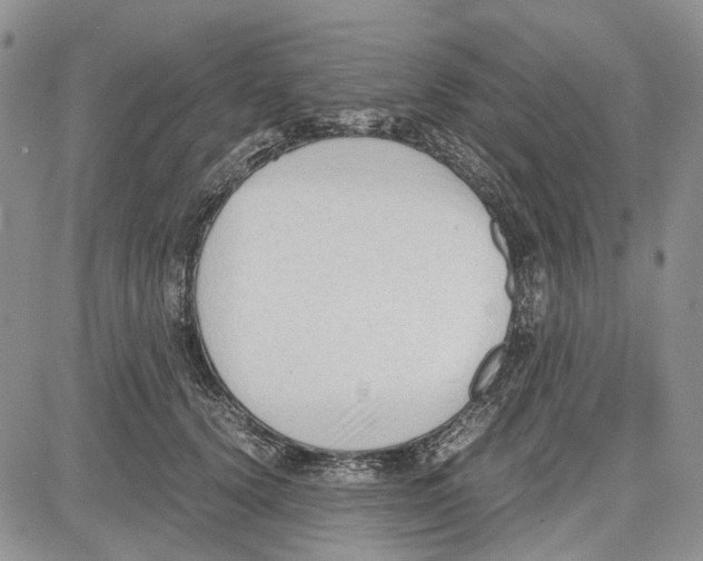 X0000081570656200702051215