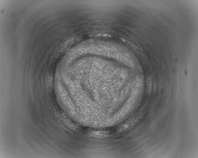 X0000081570657200702051215