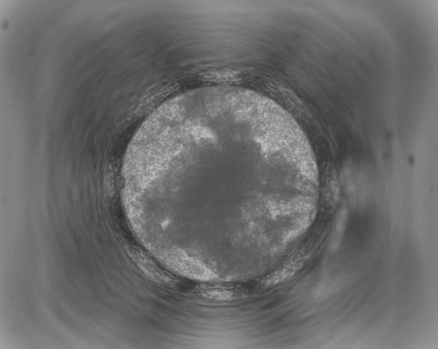 X0000081570658200702051215