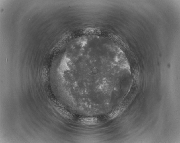 X0000081570659200702051215