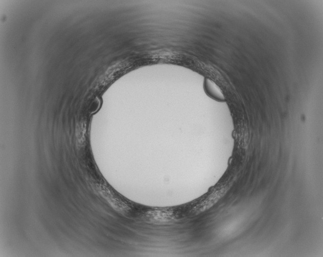 X0000081570660200702051215