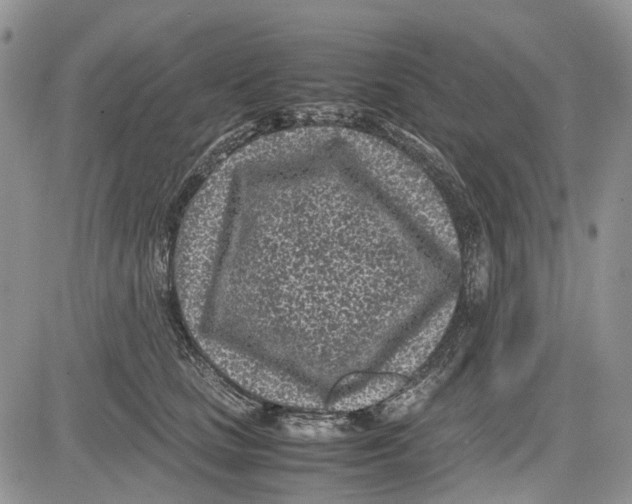 X0000081570661200702051215