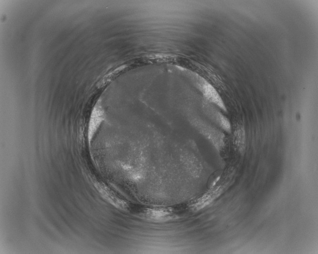 X0000081570662200702051215