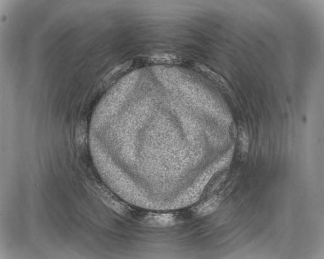 X0000081570665200702051215