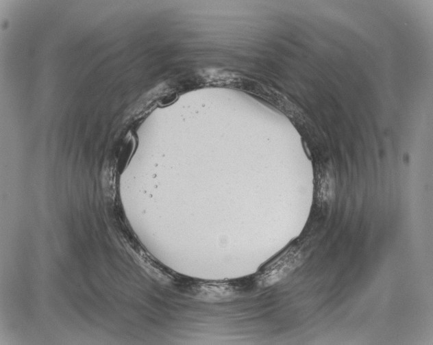 X0000081570666200702051215