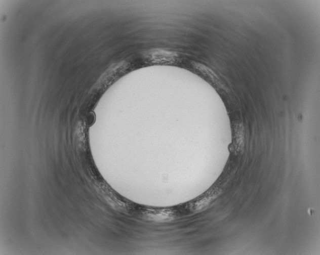 X0000081570667200702051215