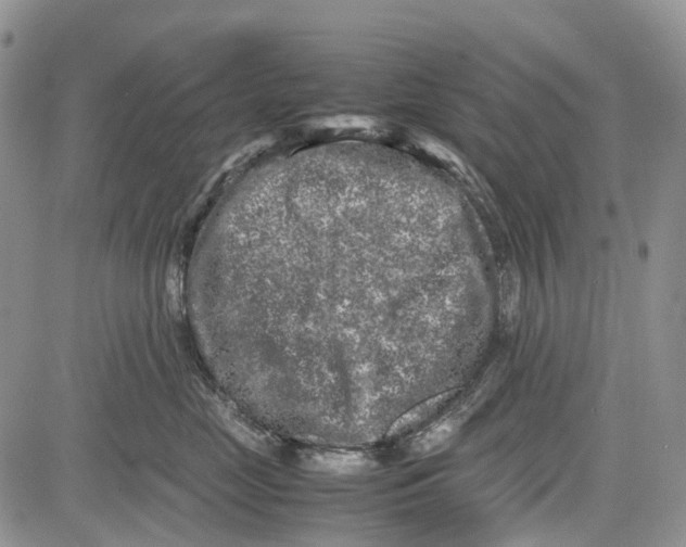 X0000081570669200702051215