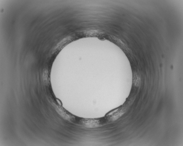 X0000081570670200702051216