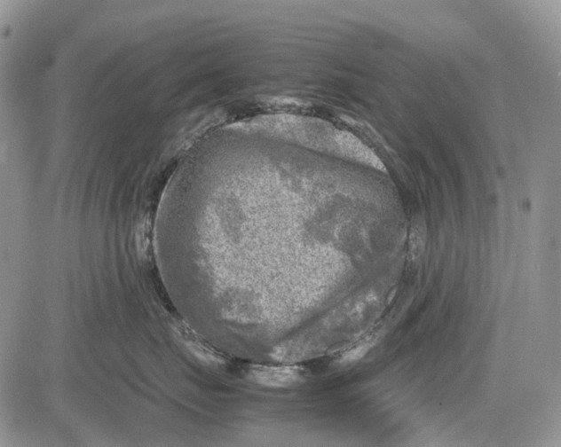 X0000081570671200702051216