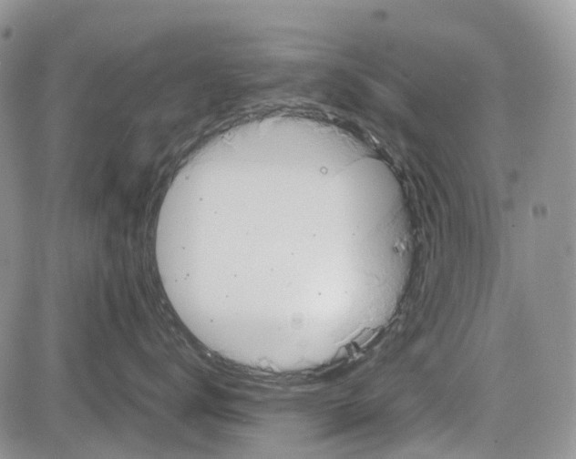 X0000081570672200702051216