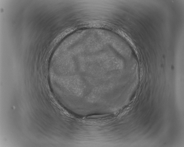 X0000081570673200702051215