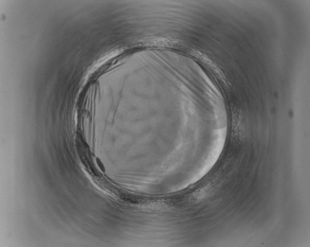 X0000081570674200702051215