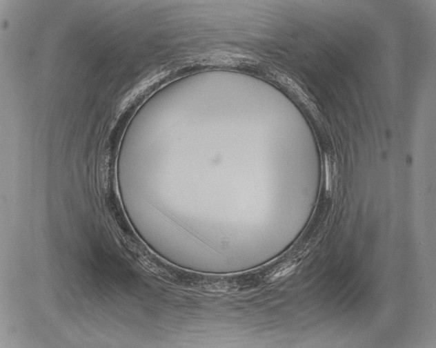 X0000081570675200702051215