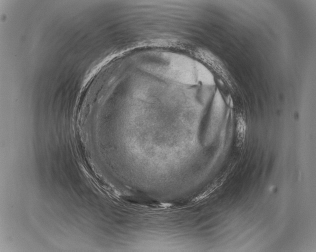 X0000081570676200702051215