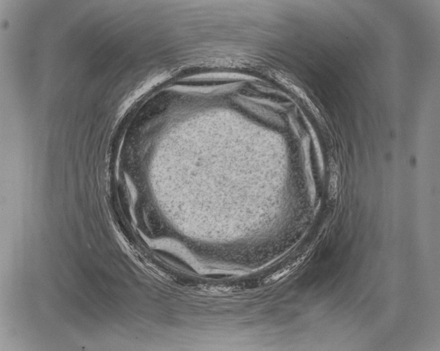 X0000081570677200702051215