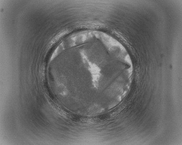 X0000081570679200702051215