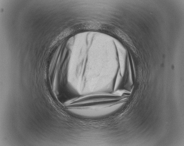 X0000081570681200702051215