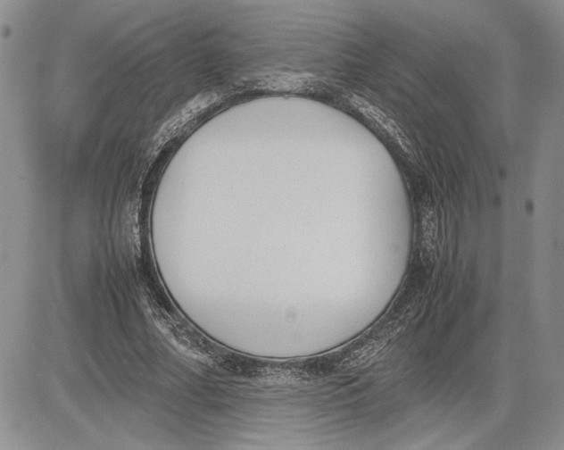 X0000081570682200702051215