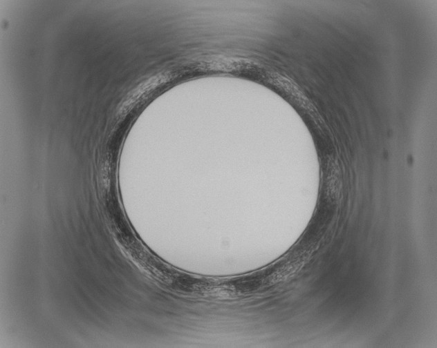 X0000081570683200702051215