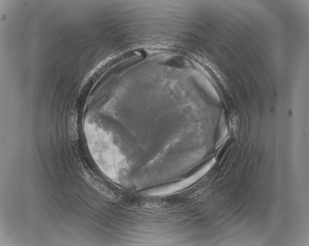 X0000081570684200702051215