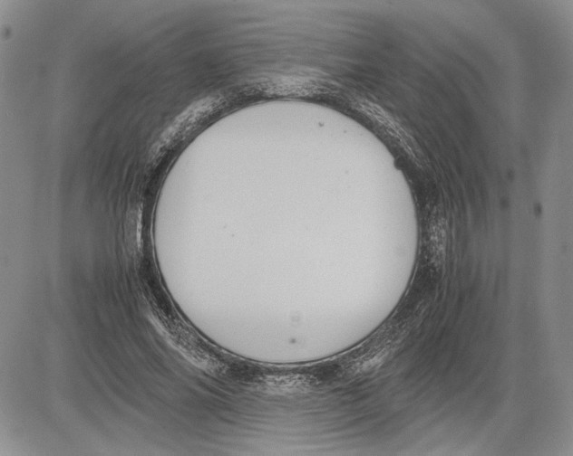 X0000081570686200702051215