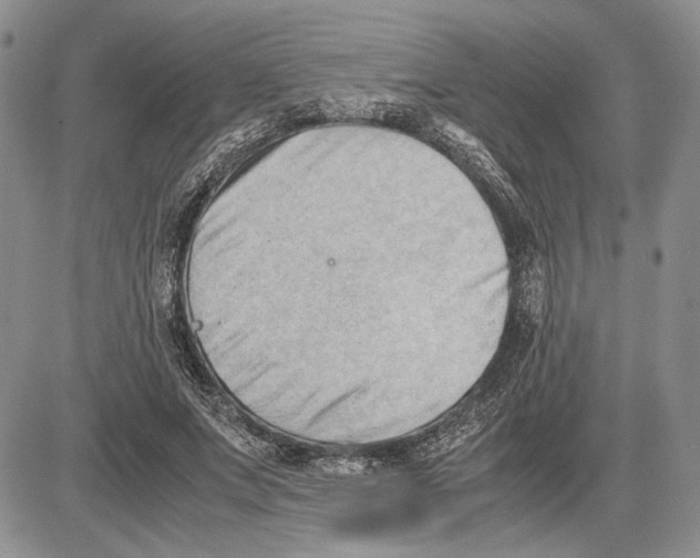 X0000081570687200702051215