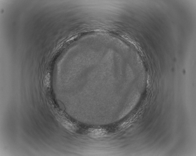 X0000081570689200702051215