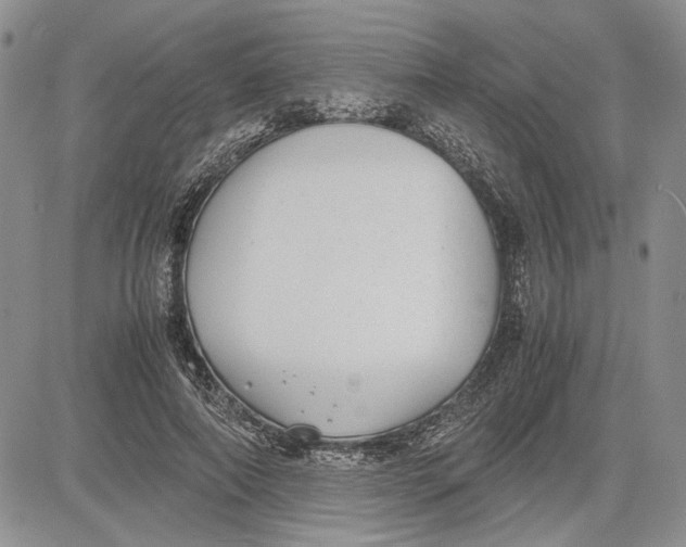 X0000081570690200702051214