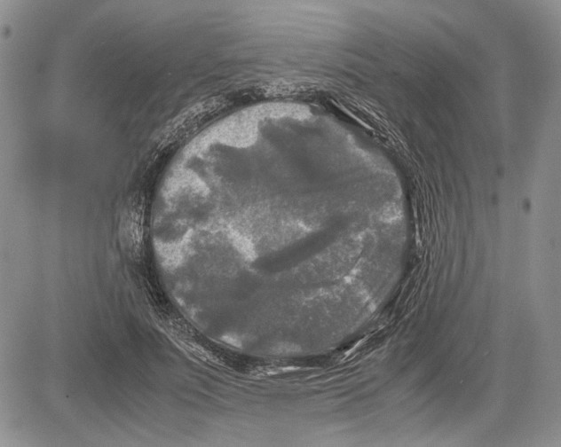 X0000081570691200702051214