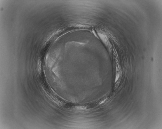 X0000081570692200702051214